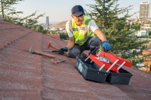 San Luis, AZ Siding Installation & Repair Company