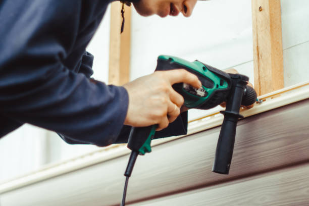 Best Custom Trim and Detailing for Siding  in San Luis, AZ